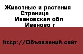  Животные и растения - Страница 24 . Ивановская обл.,Иваново г.